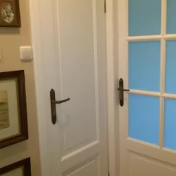 Dwie białe skrzydła z ozdobnymi listwami i mosiężnymi klamkami. Jedna z przeszkleniami, druga pełna. Parkiet na podłodze, obrazy na ścianie.