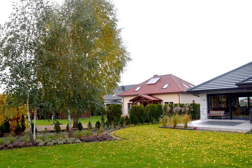 Uporządkowany ogród przydomowy z trawnikiem pokrytym opadłymi liśćmi, nasadzeniami z niskich krzewów i drzew, na tle dwóch budynków mieszkalnych z dachami o różnej kolorystyce.