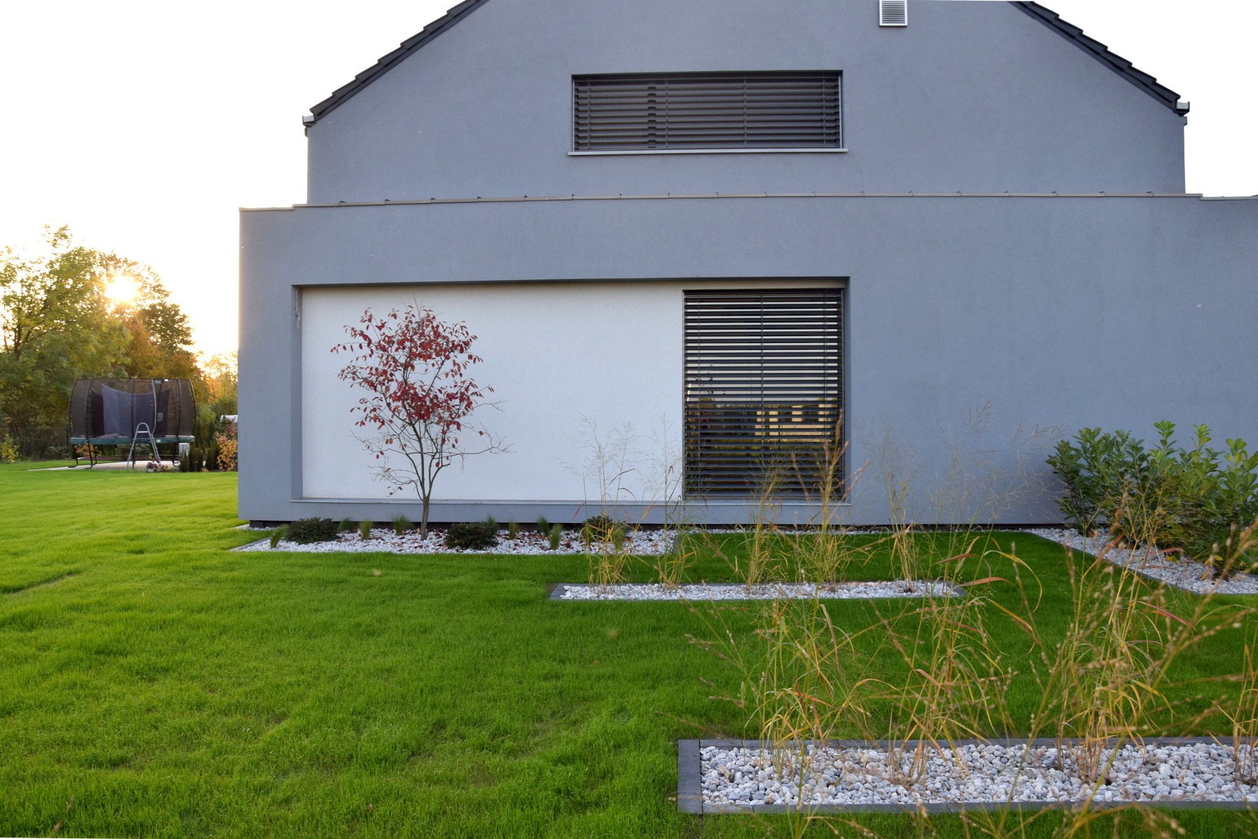 Nowoczesny dom z szarą elewacją i starannie utrzymanym trawnikiem, z młodym drzewkiem o czerwonych liściach posadzonym na białym żwirze, widoczne ozdobne trawy w kamiennych obrzeżach i trampolina...