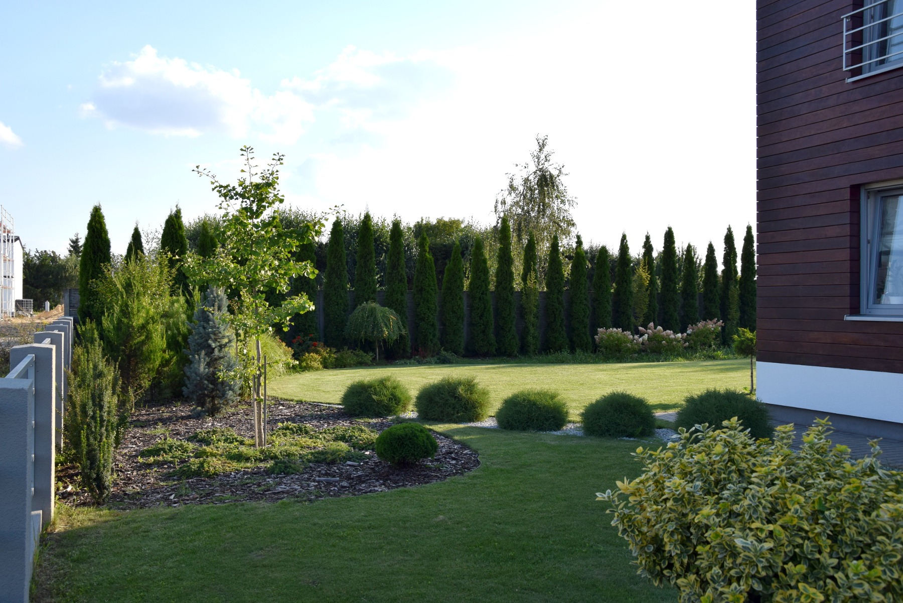 Uporządkowany przydomowy ogród z równo przystrzyżonym trawnikiem, kulistymi krzewami i szpalerem strzelistych tuj wzdłuż ogrodzenia, widok z perspektywy trawnika w stronę domu z drewnianą elewacją.