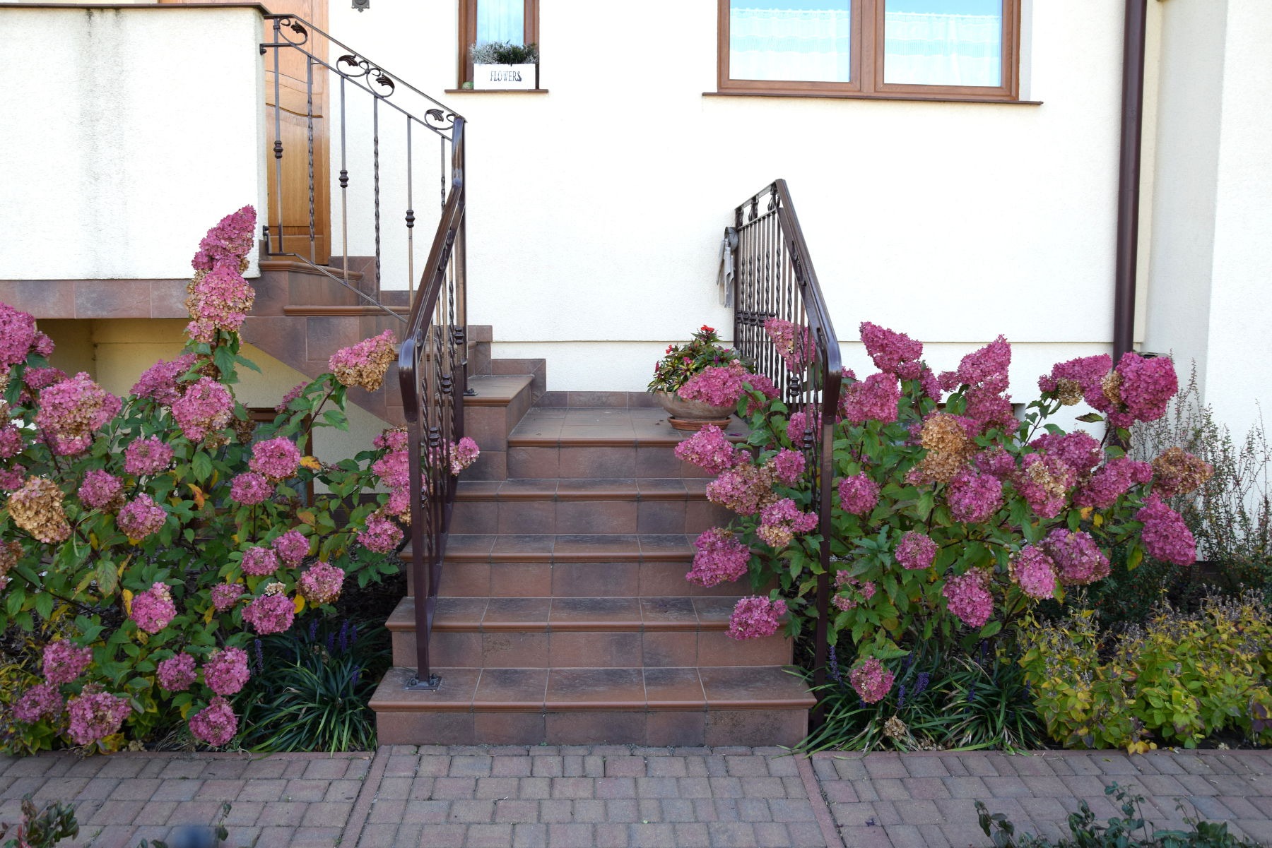 Wejście do domu z brukowanymi schodami, ozdobnymi balustradami i krzewami hortensji w odcieniach różu i beżu po obu stronach.