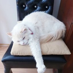 Adwokat rozwodowy Wodzisław Śląski 4