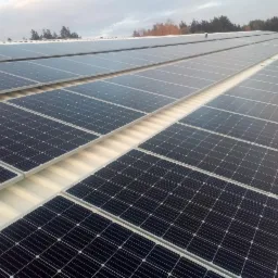 Rząd paneli słonecznych na białym, metalowym dachu, widziany pod kątem, z drzewami w tle pod pochmurnym niebem.