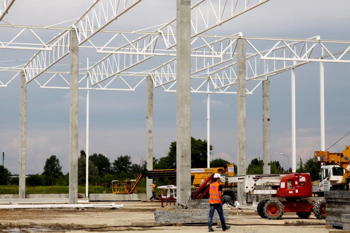 Wznoszenie hali: stalowa konstrukcja szkieletowa z betowymi słupami, na budowie pracownik w pomarańczowej kamizelce i maszyny budowlane na tle zieleni.