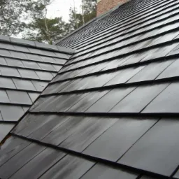 Czarny dach z dachówki ceramicznej w układzie skośnym, widoczny komin z cegły i drzewa w tle. Dach lekko wilgotny po deszczu, z bliska.