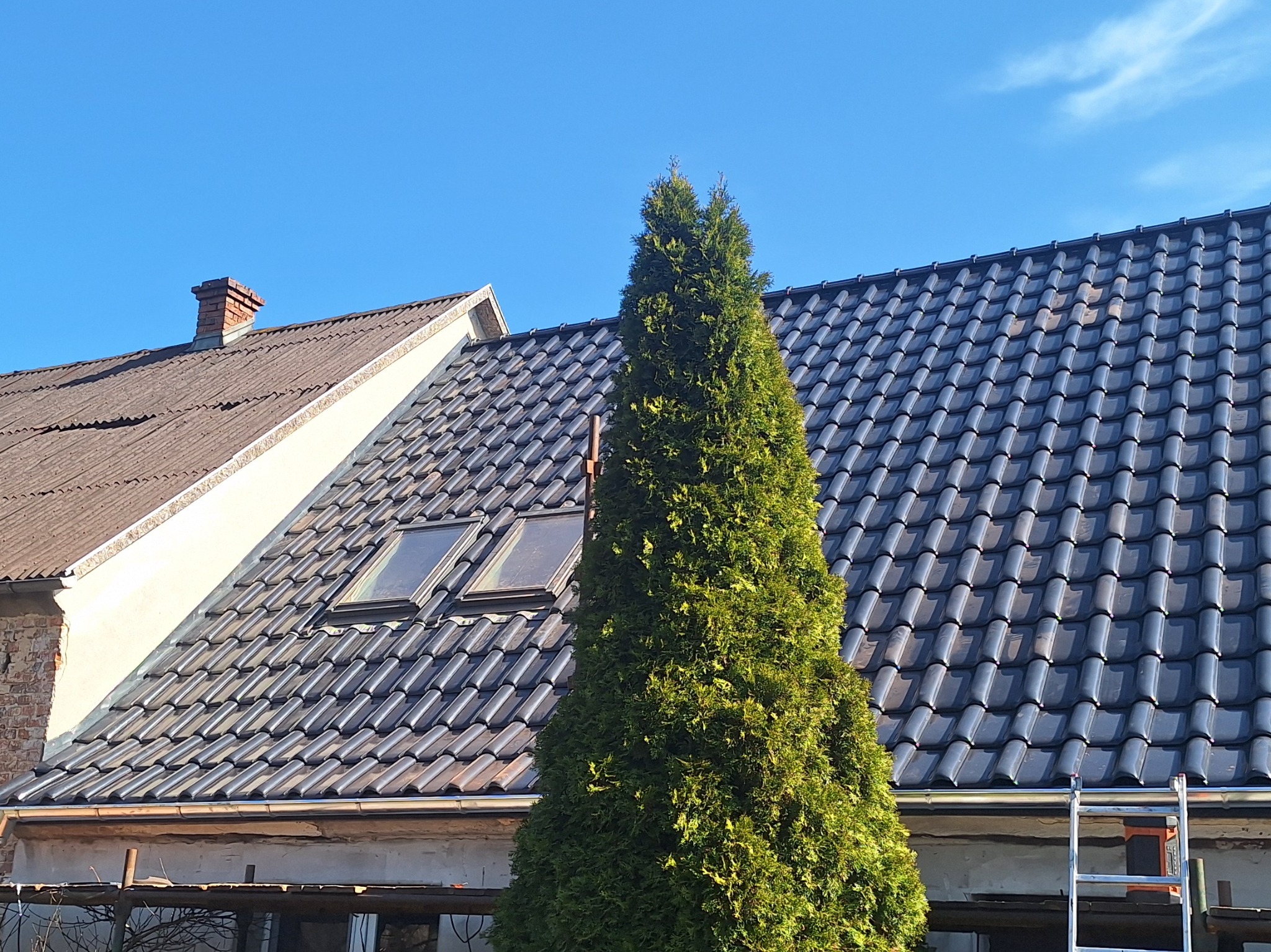 Nowe, ciemnoszare dachówki ceramiczne na dachu domu jednorodzinnego, widoczne dwa okna dachowe, na pierwszym planie wysoki tuja, fragment rusztowania i drabina oparta o rynnę.