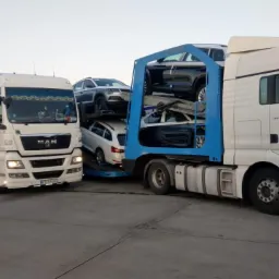 Dwa białe samochody ciężarowe MAN z niebieskimi platformami transportowymi przewożące samochody osobowe, widok z boku na betonowym placu.