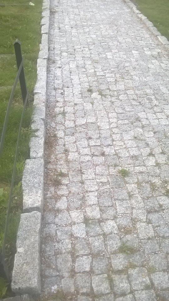 Szara ścieżka z kostki granitowej z widocznymi spoinami i drobną roślinnością, obrzeża ścieżki z większych kamieni, w tle trawa i fragment metalowego ogrodzenia.
