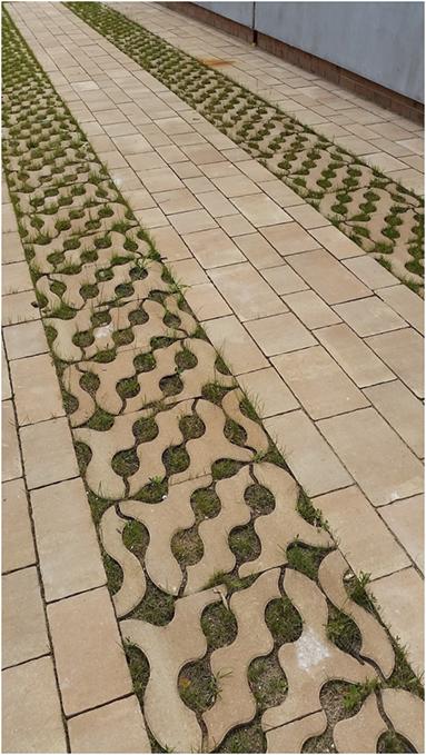 Beżowa kostka ażurowa z zieloną trawą, ułożona w pasy, tworząca ścieżkę na zewnątrz budynku. Widok z góry, perspektywa zbieżna.