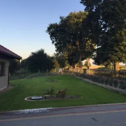 Zadbany trawnik z systemem nawadniania, ozdobne rabaty różane wzdłuż ogrodzenia, widok z poziomu kostki brukowej, dom jednorodzinny z czerwonym dachem w tle.