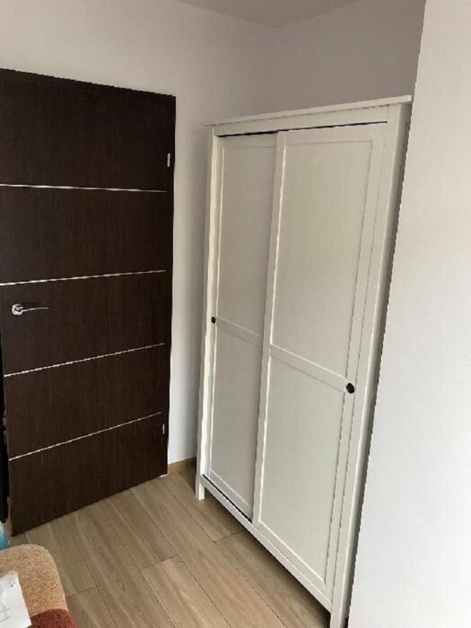 Biała szafa przesuwna z ciemnymi uchwytami, stojąca obok ciemnobrązowych drzwi w minimalistycznym wnętrzu.