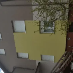 Fragment elewacji domu po malowaniu, z widocznym połączeniem kolorów: szarego i żółtego, oraz ceglanym wykończeniem przy gruncie, częściowo zasłoniętym przez rozłożyste drzewo.