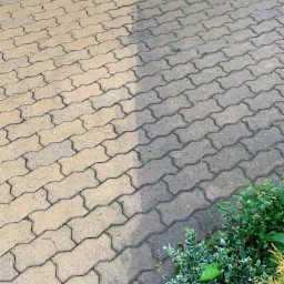 Częściowo wyczyszczona kostka brukowa, widoczna różnica w kolorze między czystą a brudną powierzchnią, zieleń przy krawędzi.