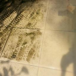 Glantz Ii Sp.J - Częściowo wyczyszczona, zabrudzona płytka podłogowa z śladami opon i mchu, kontrastująca z czystą powierzchnią. Widoczny cień osoby.