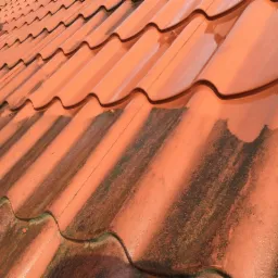 Częściowo oczyszczona, pomarańczowa dachówka ceramiczna z widocznymi śladami zabrudzeń organicznych i wilgoci. Widoczne rynny w tle.