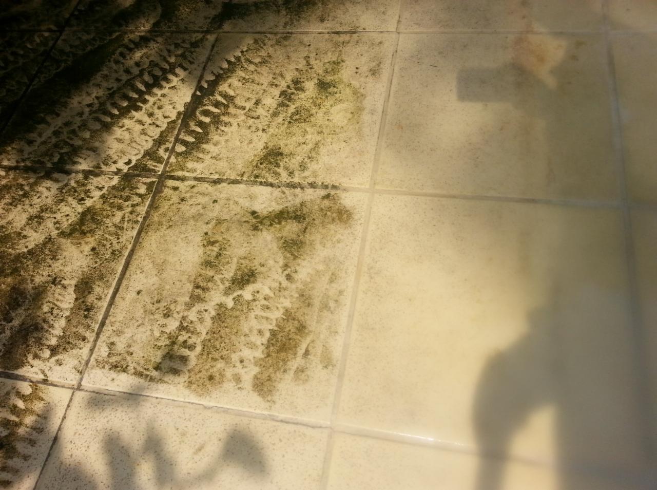 Częściowo wyczyszczona, zabrudzona płytka podłogowa z śladami opon i mchu, kontrastująca z czystą powierzchnią. Widoczny cień osoby.