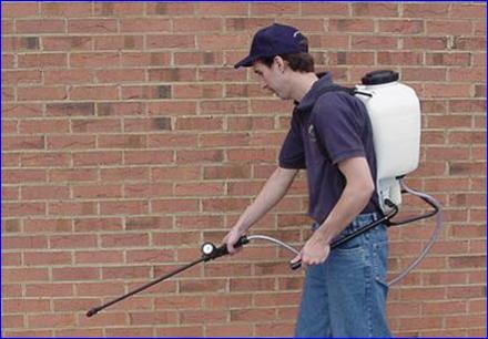 Pracownik w niebieskiej koszulce i czapce opryskuje czerwoną ścianę z cegły za pomocą opryskiwacza plecakowego. Widoczny manometr na lancy.