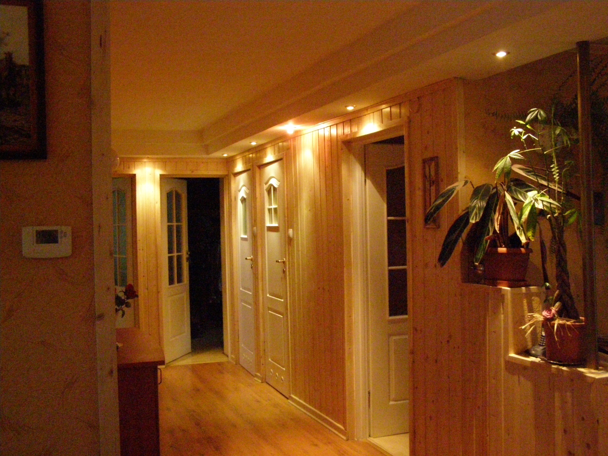 Korytarz wykończony boazerią z drewnianych paneli, z trzema białymi drzwiami i podświetleniem halogenowym podsufitowym, wyeksponowany parkiet na podłodze i rośliny doniczkowe w rogu.