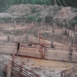 Przygotowanie szalunków i zbrojenia fundamentów na grząskim terenie z widoczną stertą ziemi w tle.