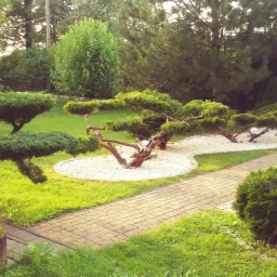 Ogród z formowanymi drzewami iglastymi, podświetlonymi kulistymi lampami, ścieżka z kostki brukowej i trawnik, widok z perspektywy chodnika.