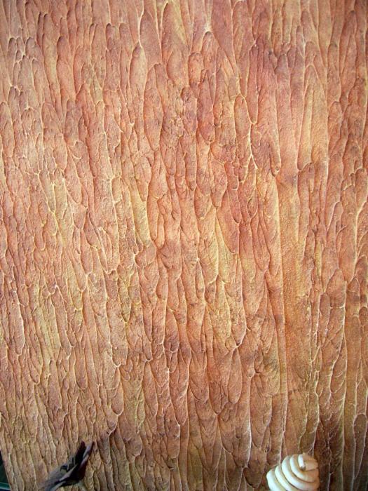 Teksturowana ściana w odcieniach brązu i beżu z wyraźnym wzorem przypominającym korę drzewa. Element dekoracyjny w prawym dolnym rogu.