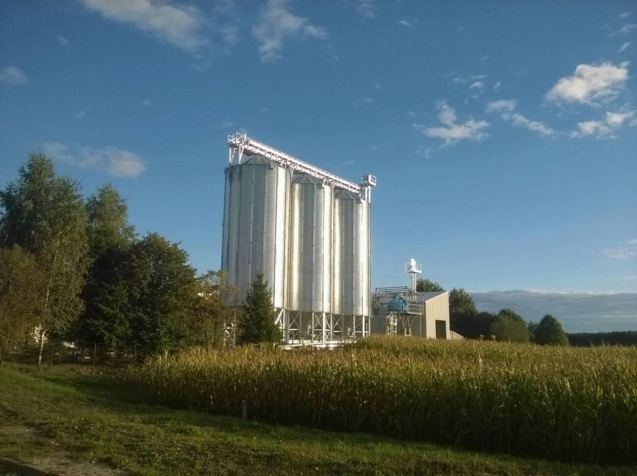 Trzy wysokie, srebrne silosy zbożowe z konstrukcją stalową, na tle błękitnego nieba i pola kukurydzy, w otoczeniu drzew.