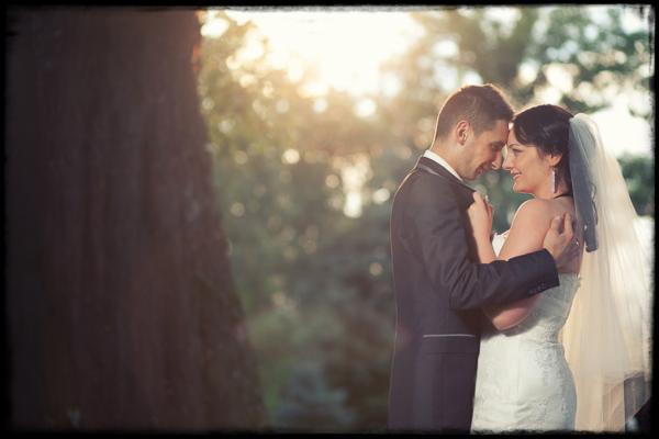 Para młoda w objęciach, delikatne światło słoneczne w tle, drzewo po lewej stronie kadru. Romantyczny moment podczas sesji w plenerze.