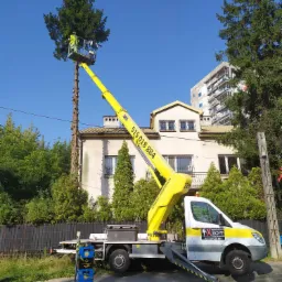 Pracownik w żółtej kamizelce na podnośniku koszowym przy częściowo ogołoconym drzewie iglastym, widoczne ślady po obciętych gałęziach, w tle dom jednorodzinny i budynek w rusztowaniach.