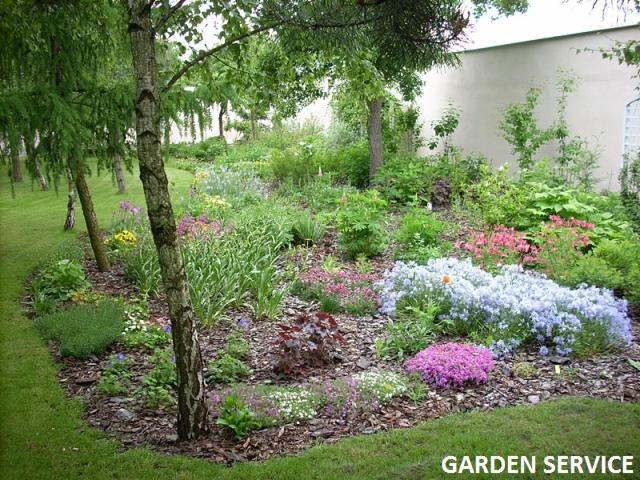 Urozmaicony ogród z kwitnącymi roślinami i korą, z brzozami na skraju trawnika. Kompozycja z różnorodnych gatunków kwiatów i krzewów, na tle zieleni drzew.