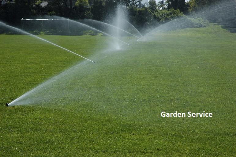 Automatyczne nawadnianie trawnika w słoneczny dzień. Zraszacze rozpylają wodę na soczystą, zieloną trawę na tle drzew i siatki boiska. Dbałość o zieleń.