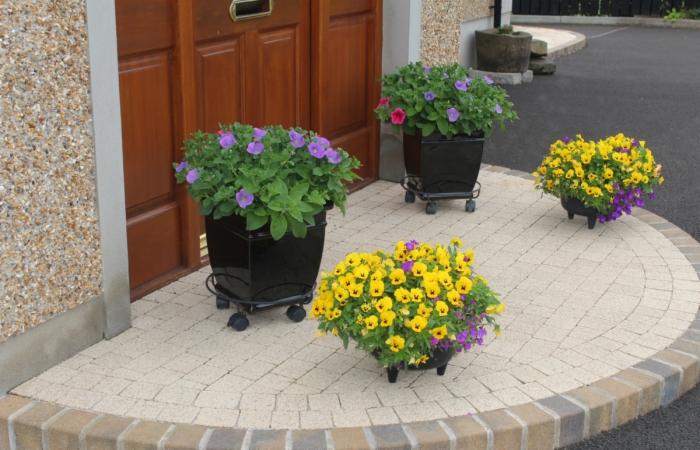 Okazałe kwiaty w donicach na kółkach, zdobiące okrągły, brukowany podjazd przed wejściem do domu z drewnianymi drzwiami i elewacją z kamyczków.