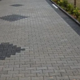 Ułożona szara kostka brukowa w kształcie kości z ciemnymi wzorami rombów, tworząca ścieżkę. Widoczne obrzeża i zieleń w tle.