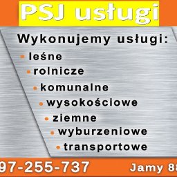 PSJ usługi - Ścinka Drzew Wadowice Górne