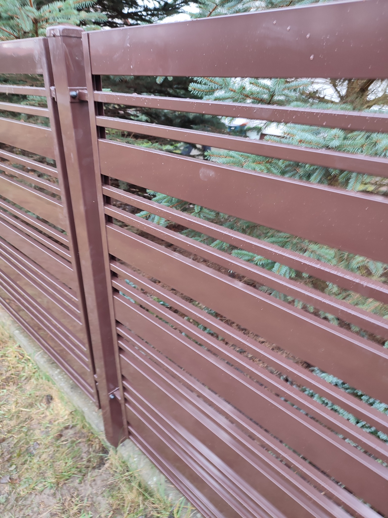Fragment brązowego ogrodzenia panelowego z poziomych listew, widok z boku na tle zielonych iglaków.