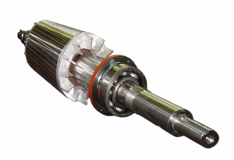 Rotor silnika elektrycznego z łożyskami i pierścieniem uszczelniającym, widoczne uzwojenia i elementy metalowe, na białym tle.