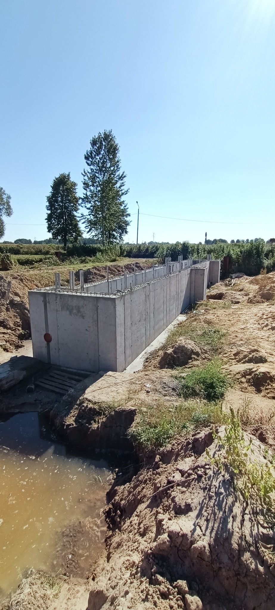 Świeżo wylane betonowe fundamenty domu z wystającymi prętami zbrojeniowymi, częściowo zasypane ziemią, z widoczną rurą odpływową i kałużą wody w wykopie, na tle błękitnego nieba i zieleni drzew.