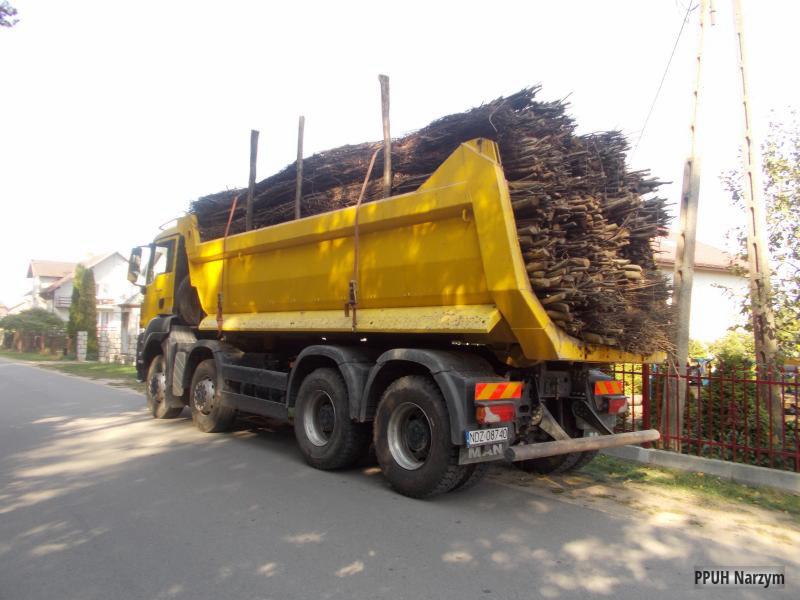 Żółta ciężarówka MAN z pełną skrzynią gałęzi i drewna na tle wiejskich zabudowań. Transport materiałów na skład.