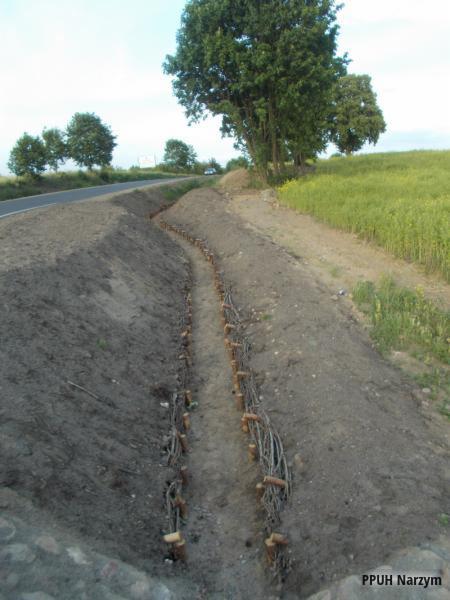 Wykonywanie umocnienia rowu przydrożnego z użyciem wikliny i drewnianych kołków na tle zieleni i drogi. Prace ziemne i zabezpieczenie gruntu.