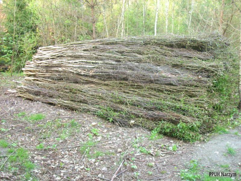 Stos gałęzi z młodymi pędami w leśnym otoczeniu, przygotowany do budowy ogrodzeń lub innych konstrukcji z naturalnych materiałów.