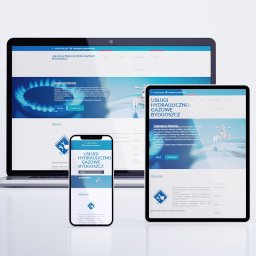 SGWS.PL SPÓŁKA Z OGRANICZONĄ ODPOWIEDZIALNOŚCIĄ - strona www