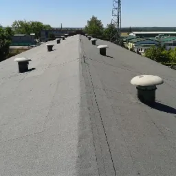 Czarny, płaski dach przemysłowy z licznymi, okrągłymi wywietrznikami, widziany z góry, na tle zieleni i zabudowań. Dach pokryty papą.