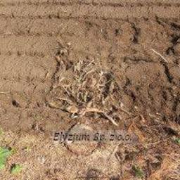 efekt pracy mulczera