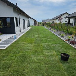 Zakładanie ogrodów Oleśnica 4