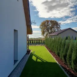 Nowoczesny ogród z równo przystrzyżonym trawnikiem, szpalerem tuj i ozdobnymi rabatami z kory, widok z boku domu w słoneczny dzień.