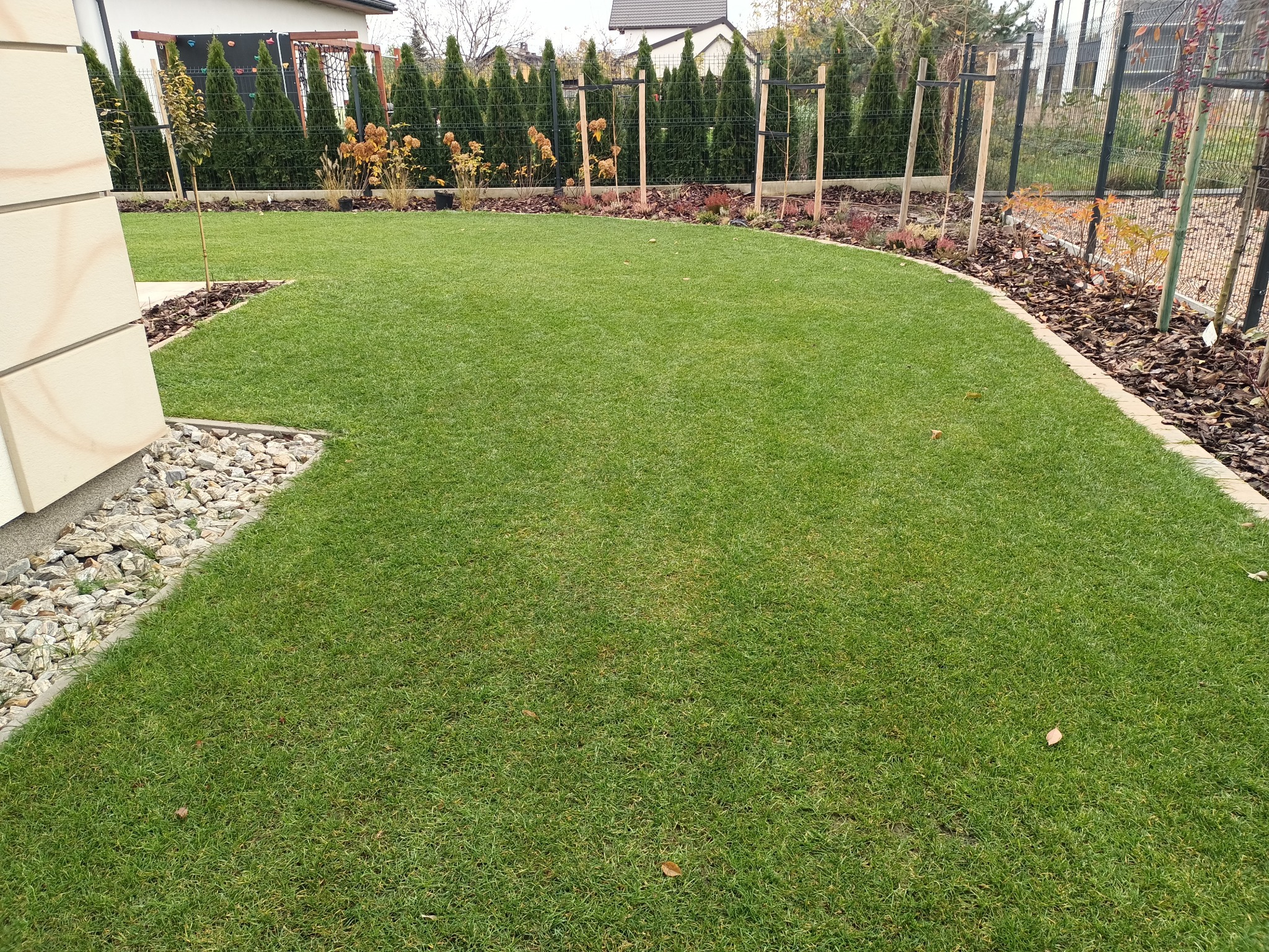 Świeżo założony trawnik z rolki, widoczne młode drzewka iglaste i liściaste posadzone wzdłuż ogrodzenia, wykończone korą.