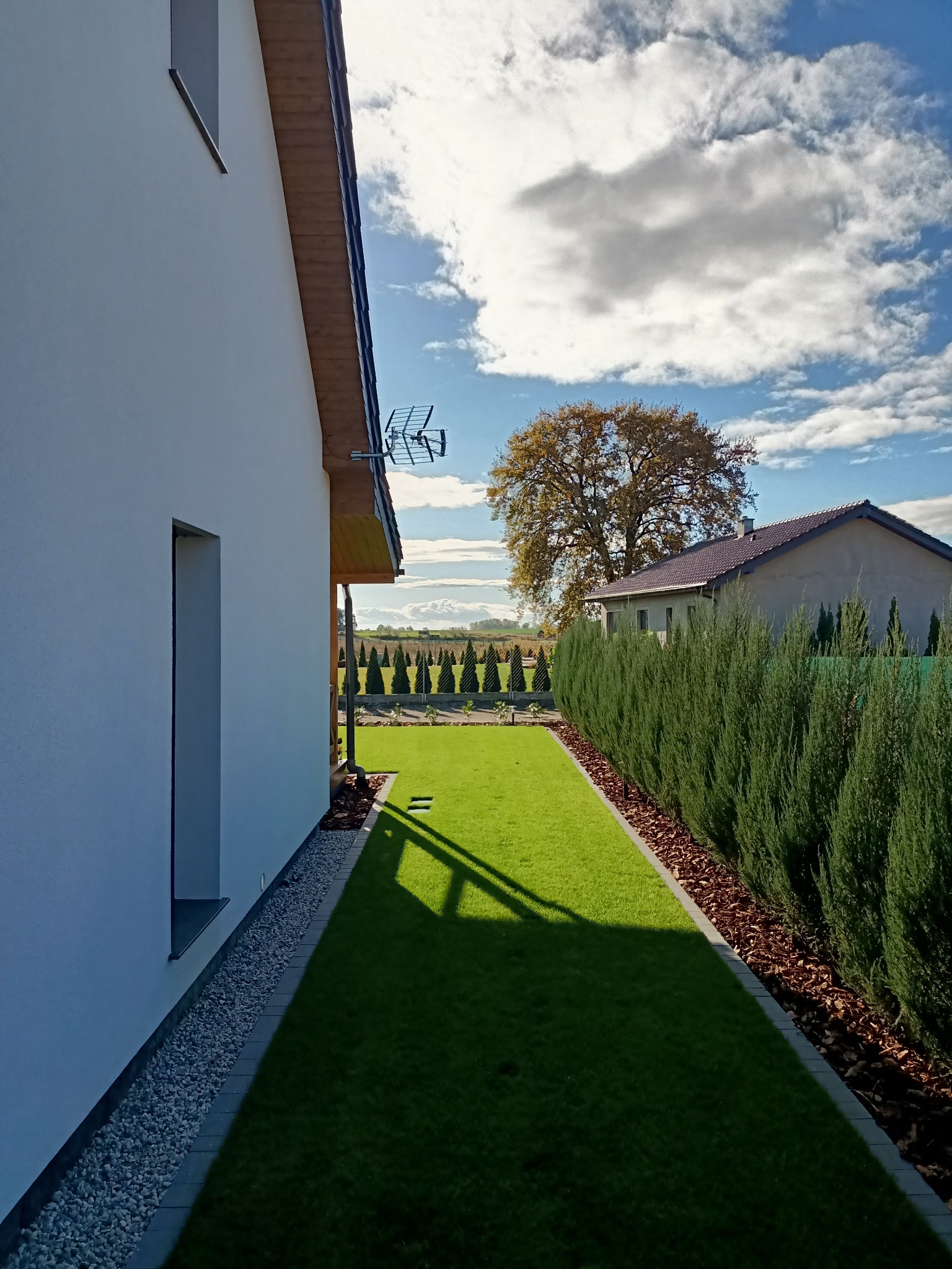 Nowoczesny ogród z równo przystrzyżonym trawnikiem, szpalerem tuj i ozdobnymi rabatami z kory, widok z boku domu w słoneczny dzień.