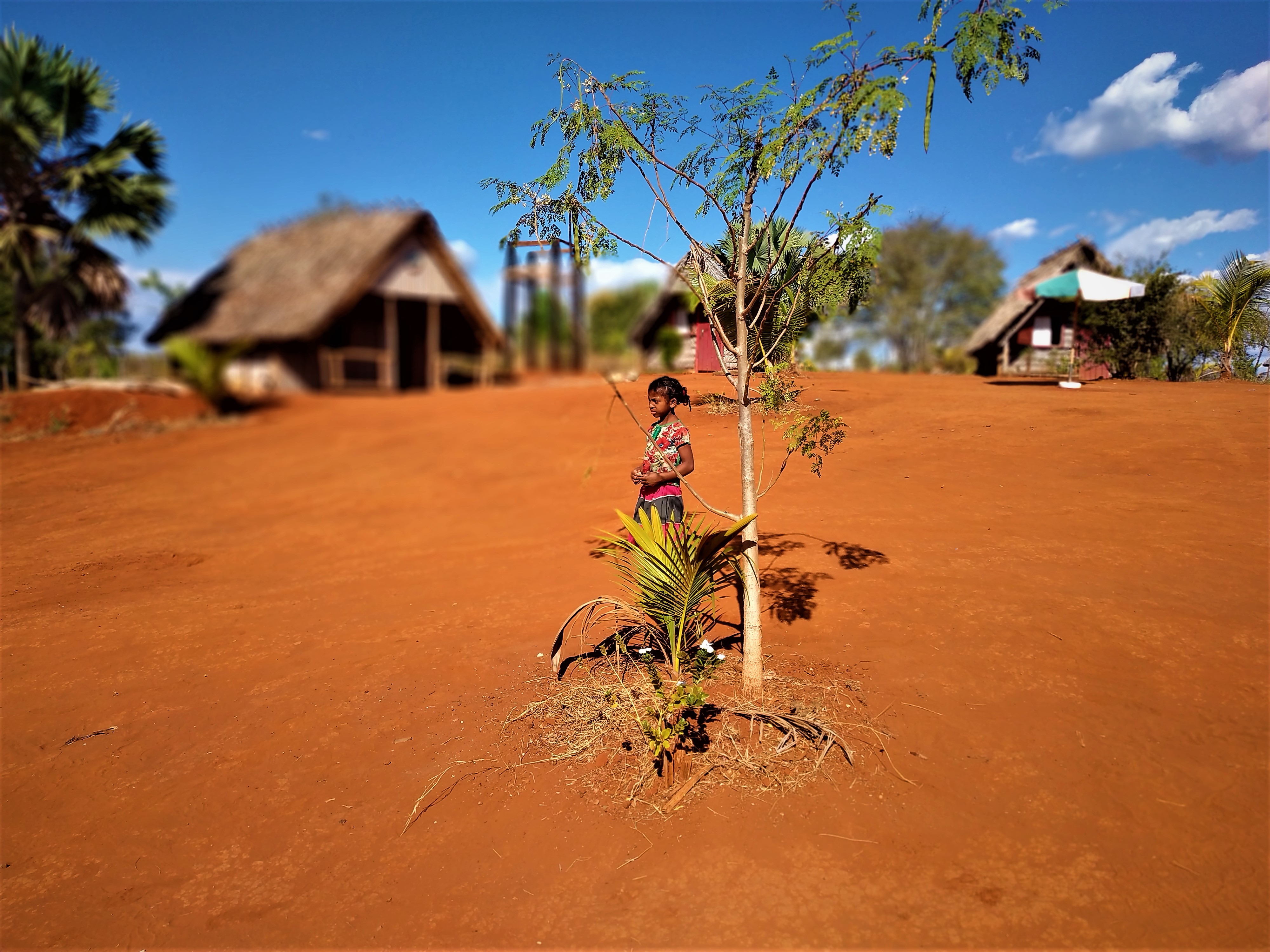 Dziewczynka w kolorowej koszulce stoi obok małego drzewka na tle czerwonej ziemi i chat krytych strzechą w Madagaskarze.