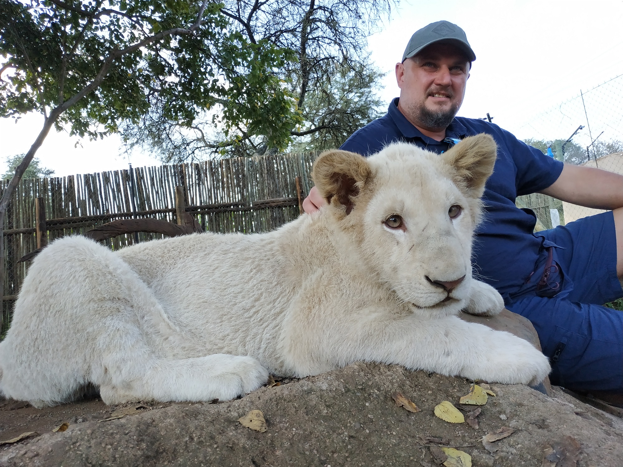 Mężczyzna w czapce siedzi obok białego lwiątka na tle drewnianego płotu i drzew