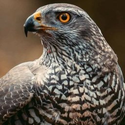 HUAN ANDRZEJ HUDZIEC - Antykorozja Żywiec