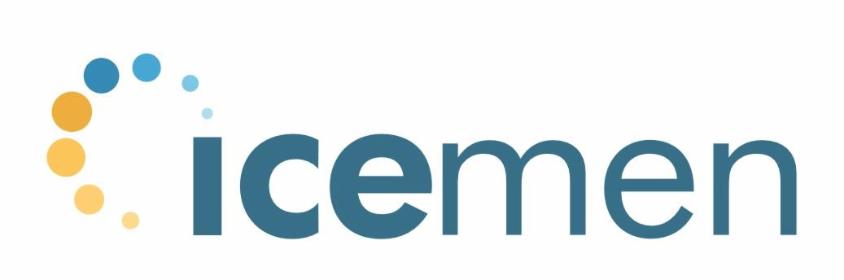 ICEMEN - Elektryk Marcinkowice